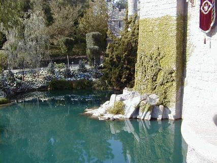 Moat around Sleeping Beauty's Castle<br>Location: <a href="https://www.google.com/maps/search/?api=1&query=33.81271,-117.91899" target="_new">Disneyland</a>